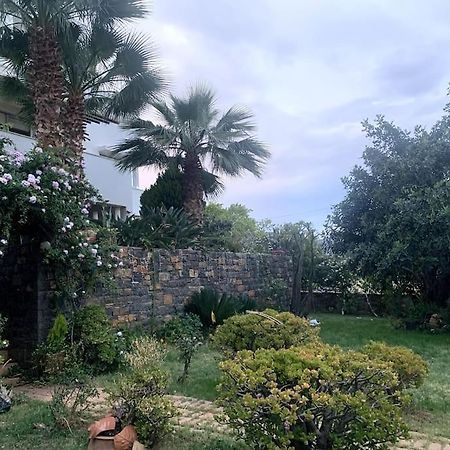 Apartament Ammoudi Hideaway Ajos Nikolaos Zewnętrze zdjęcie